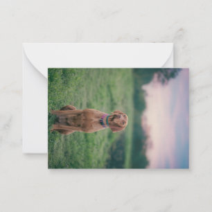 vizsla sitting note card