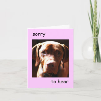 Vizsla - sorry to hear you're pawly (pink) card