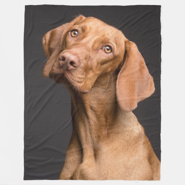 vizsla fleece