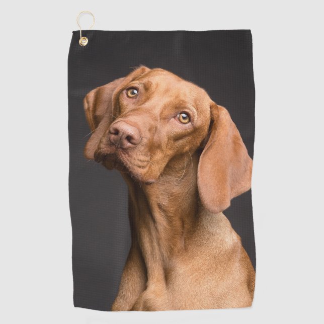 Vizsla Sporting Dog Golf Towel (Front)
