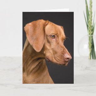 Vizsla Sporting Dog Letterpress Thank You Card