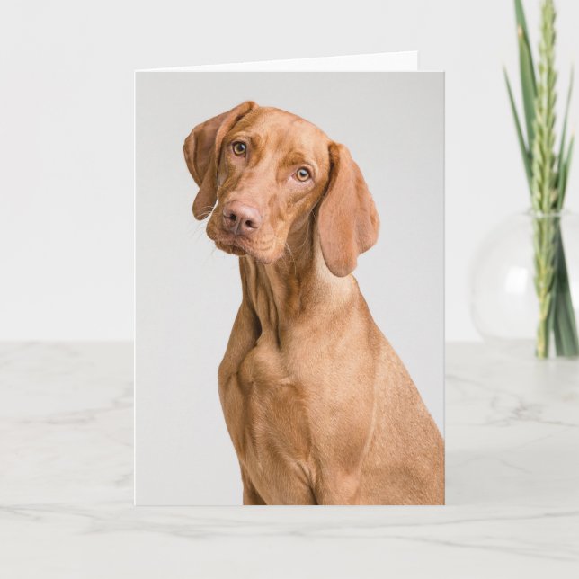Vizsla Sporting Dog Thank You Card (Front)