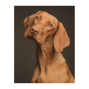 Vizsla Sporting Dog Wood Wall Art