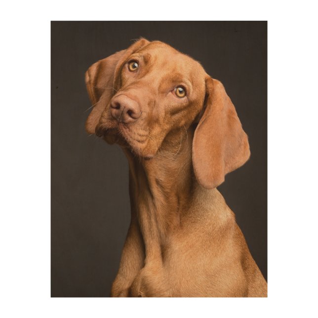 Vizsla Sporting Dog Wood Wall Art (Front)