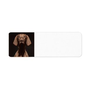 Vizsla Third Label