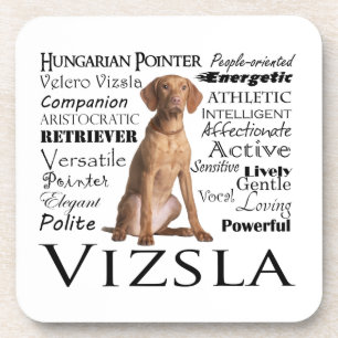 Vizsla Traits Coaster Set