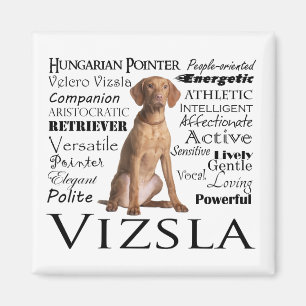 Vizsla Traits Magnet
