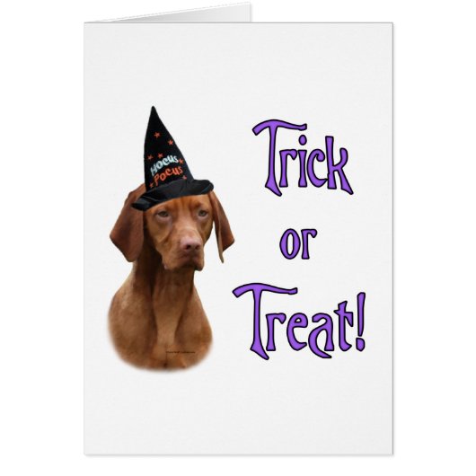 Vizsla Trick Cards (Front)