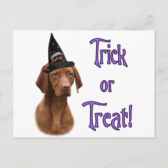 Vizsla Trick Postcard (Front)