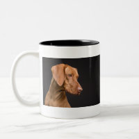 Vizsla