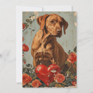 Vizsla Vintage Valentine's day  Holiday Card