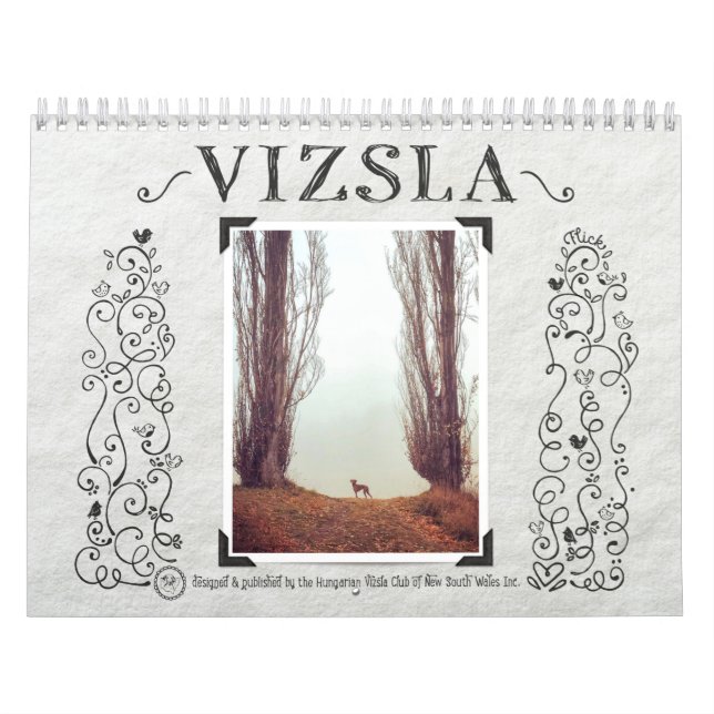 VIZSLA Vizsual Diary Calendar (Cover)