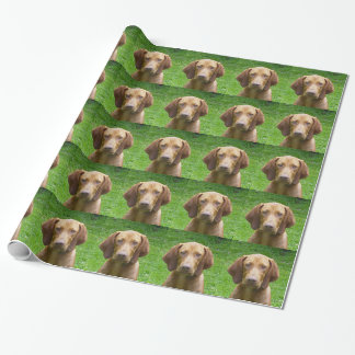 vizsla wrapping paper