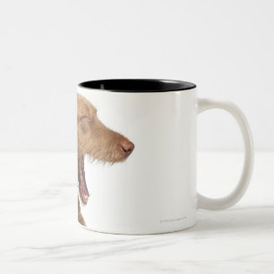 Vizsla yawning in front of white back ground Two-Tone coffee mug