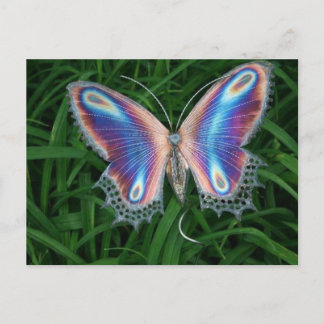 vlinder postcard