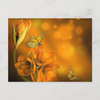 vlinders oranje postcard