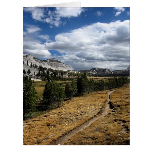 Vogelsang Valley - Yosemite Cards (Front)