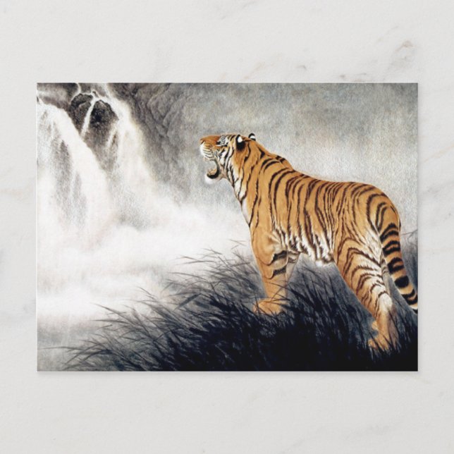 Voice of the Tiger Postcard (Front)