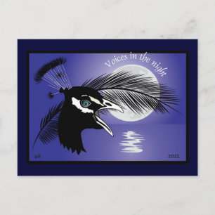 Voices in the night Postkarte Postcard