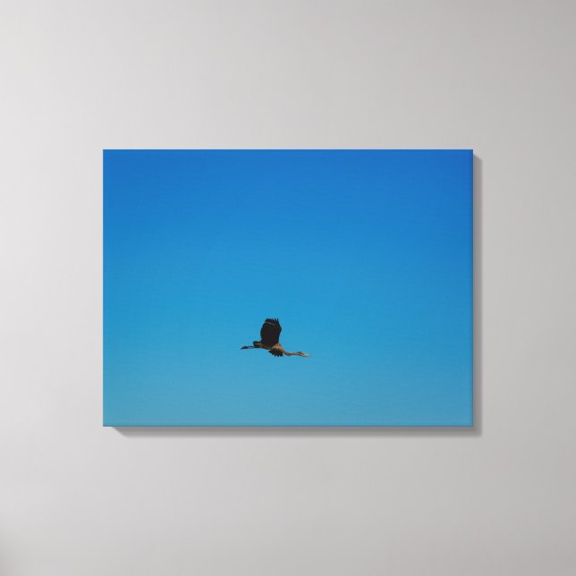 Volant Canvas Print (Front)