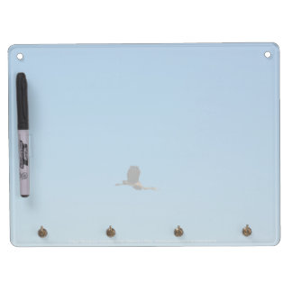 Volant Dry Erase Board With Keychain Holder