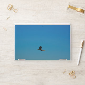 Volant HP Laptop Skin