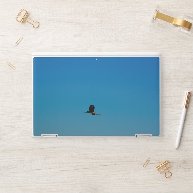 Volant HP Laptop Skin (Desk)