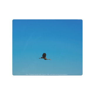 Volant Metal Print