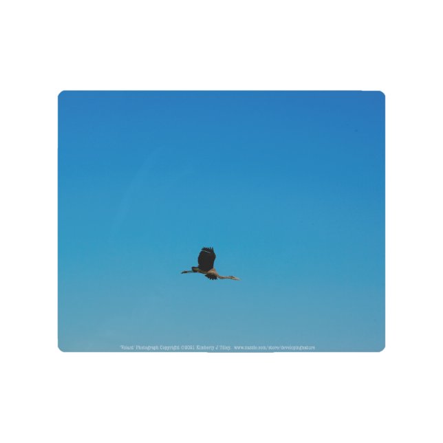 Volant Metal Print (Front)
