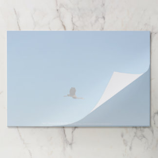 Volant Paper Pad