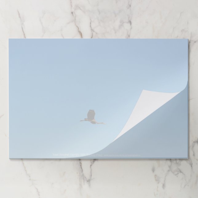 Volant Paper Pad (Folded)