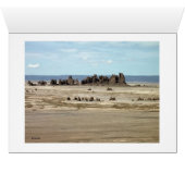 Volcanic Landscape and salt Cards (Inside Horizontal (Bottom))