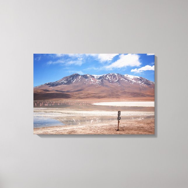 Volcano in an Altiplano landscape canvas Print (Front)