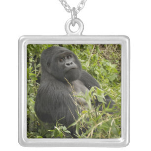 Volcanoes National Park, Mountain Gorilla Silver Plated Necklace