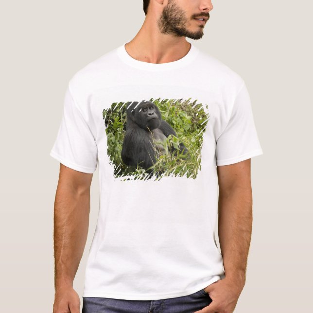 Volcanoes National Park, Mountain Gorilla T-Shirt (Front)