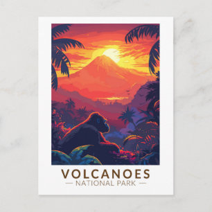 Volcanoes National Park Mountain Gorilla Travel Postcard