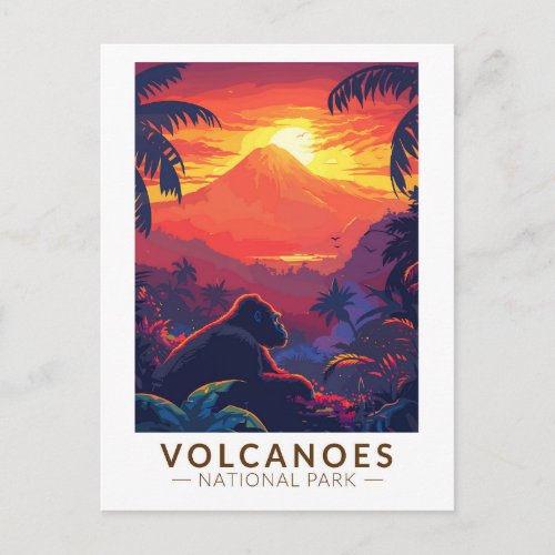 Volcanoes National Park Mountain Gorilla Travel Postcard
