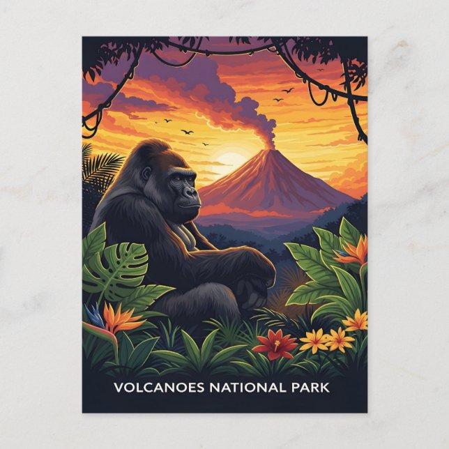 Volcanoes national park sunset postcard (Front)
