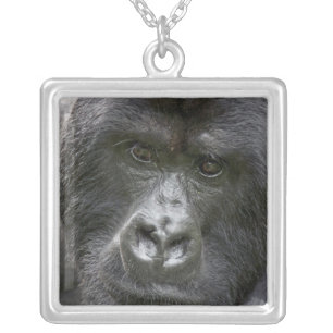 Volcanoes NP, Rwanda, Mountain Gorillas, Silver Plated Necklace