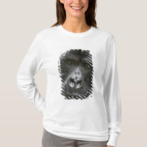 Volcanoes NP Rwanda Mountain Gorillas T_Shirt