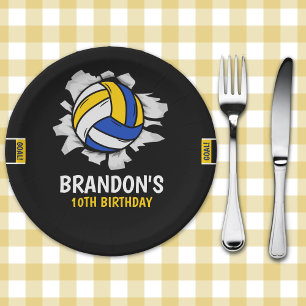 Volleyball Birthday Plates Blue and Yellow Sport