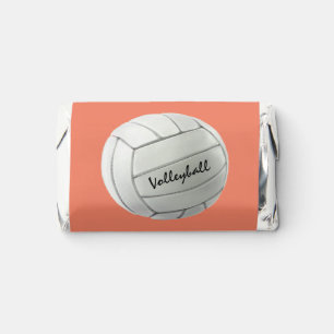 Volleyball Design Hershey's Miniatures