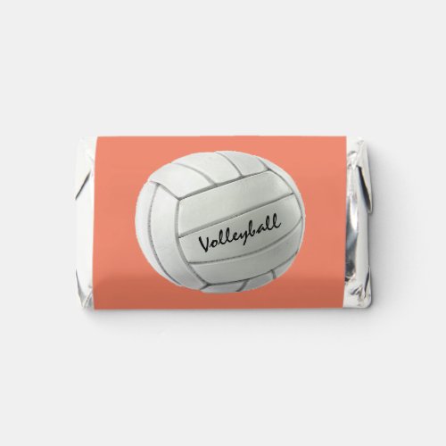 Volleyball Design Hersheys Miniatures