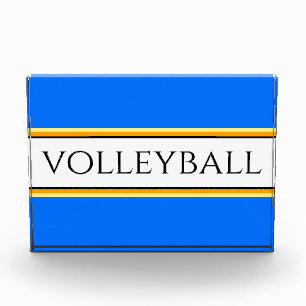 VOLLEYBALL Fun Bright Blue White Racing Stripes Photo Block