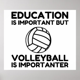 VOLLEYBALL IS IMPORTANTER POSTER
