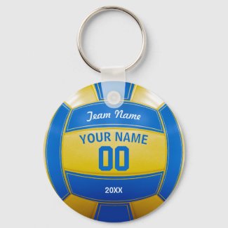 Volleyball Player's Name Year Team Blue and Yellow