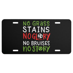 Volleyball Saying License Plate