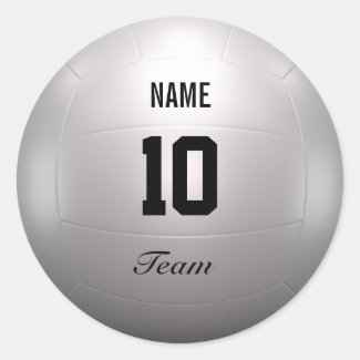 Volleyball Team