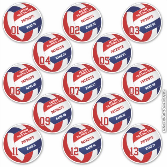 volleyball team members red blue set of 13 sticker (Front)
