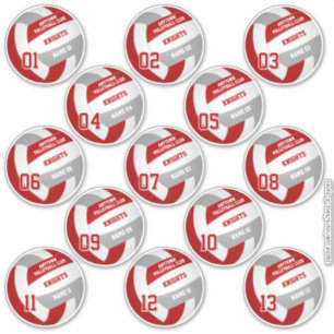 volleyball team members set of 13 red gray sticker